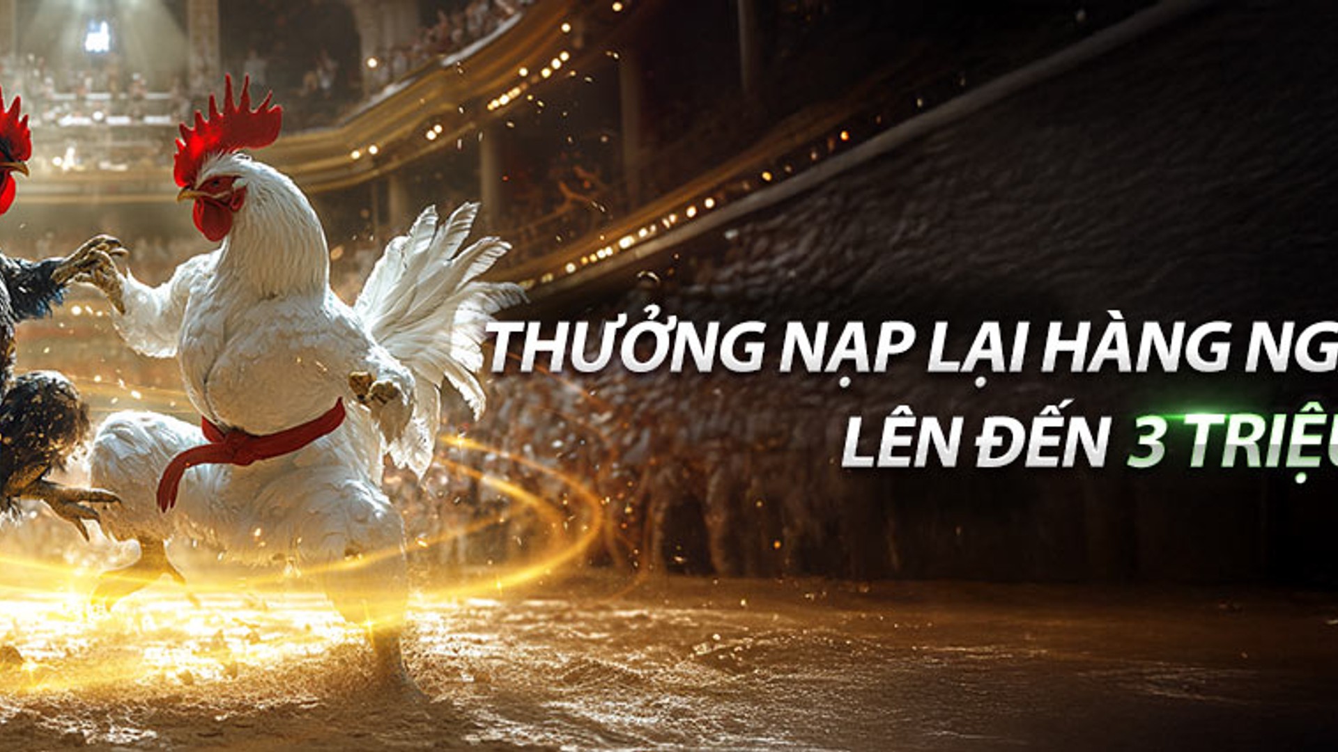 Sân đấu đá gà trực tuyến sôi động tại ST666